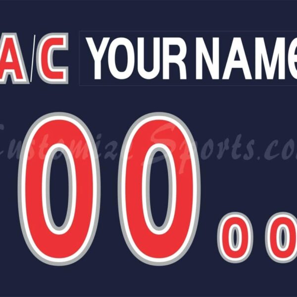All Star Customized Number Kit for 2000-2001 North America Navy Jersey