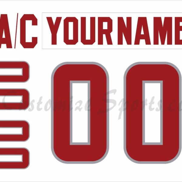 All Star Customized Number Kit for 2007 Eastern Conference White Jersey