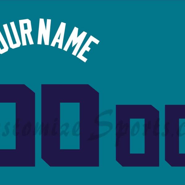 Basketball Charlotte Hornets Customized Number Kit for 2014-2017 Alternate Jersey