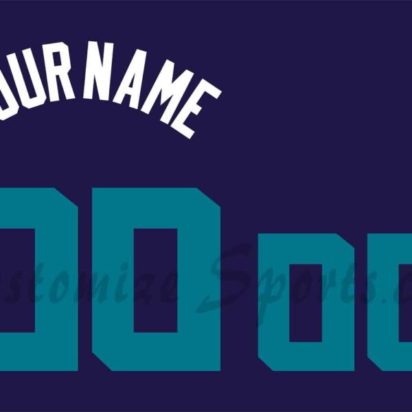 Basketball Charlotte Hornets Customized Number Kit for 2014-2017 Road Jersey
