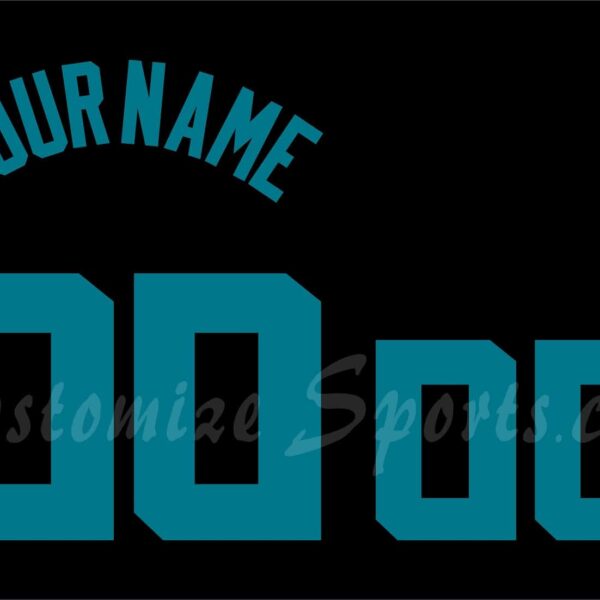 Basketball Charlotte Hornets Customized Number Kit for 2015-2017 Black Buzz City Jersey