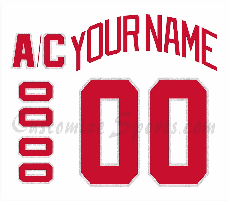 Detroit Red Wings Customized Number Kit For 2017 Centennial Classic Jersey