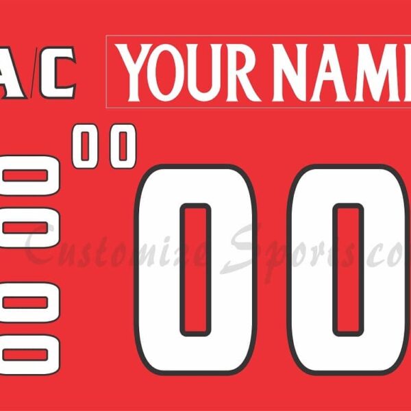 Binghamton Senators Customized Number Kit for 2012-2017 3rd Red Jersey