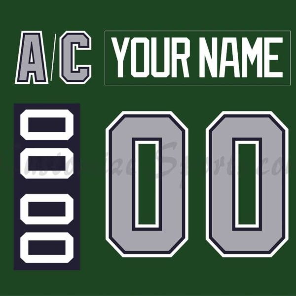Houston Aeros Customized Number Kit for 1994-2000 Green Jersey