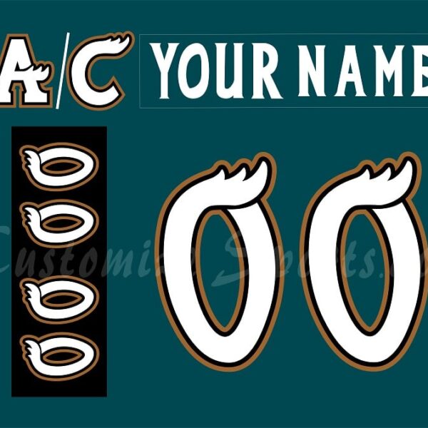 Manitoba Moose Customized Number Kit For 2010-2011 Away Jersey