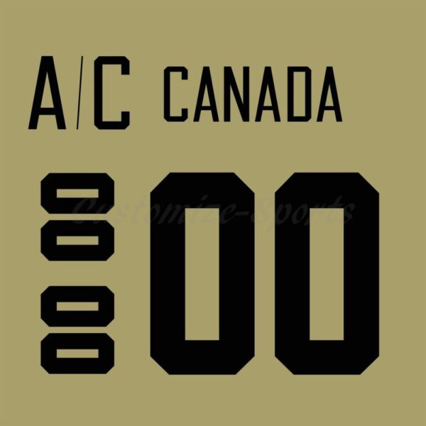 Winnipeg Customized Number Kit for Falcons Canada retro Jersey