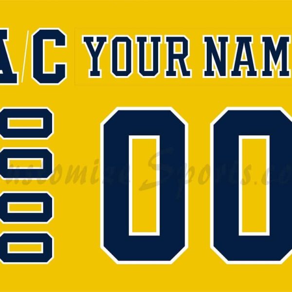 NCAA University of Michigan Customized Number Kit for 2019-2020 3rd Hockey Jersey