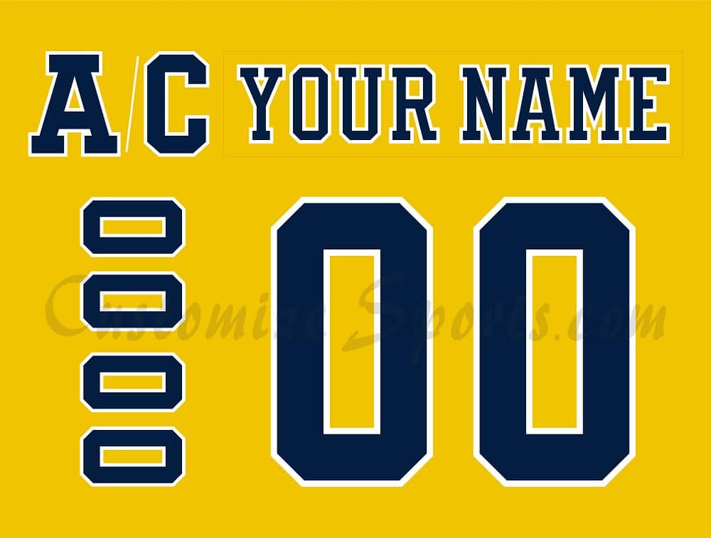 NCAA University of Michigan Customized Number Kit for 2019-2020 3rd Hockey Jersey
