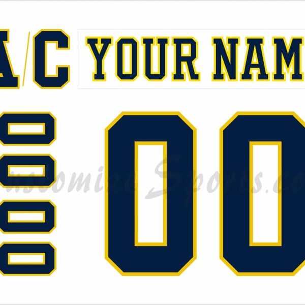 NCAA University of Michigan Customized Number Kit for 2019-2020 Home Hockey Jersey