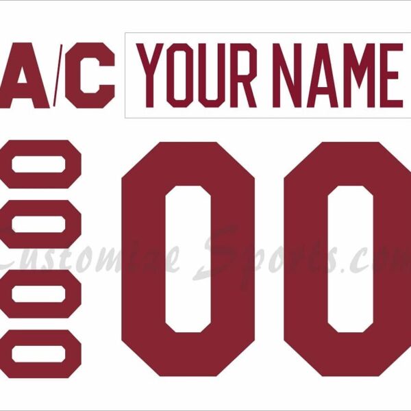 NCAA Denver Pioneers Customized Number Kit For 70th Anniversary Hockey Jersey