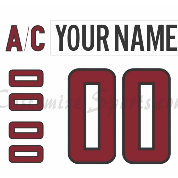 Hershey Bears Customized Number Kit for 2009-2010 White Jersey