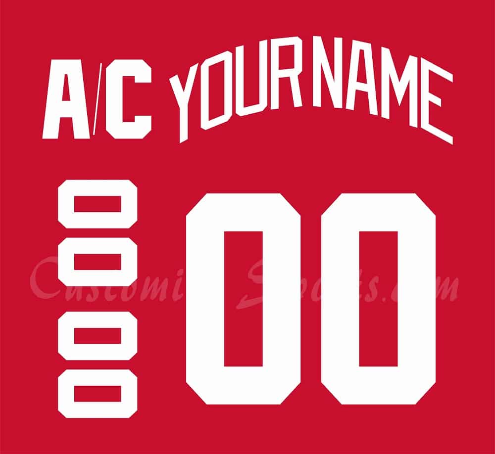 Detroit Red Wings Customized Number Kit For 2007-2017 Home Jersey