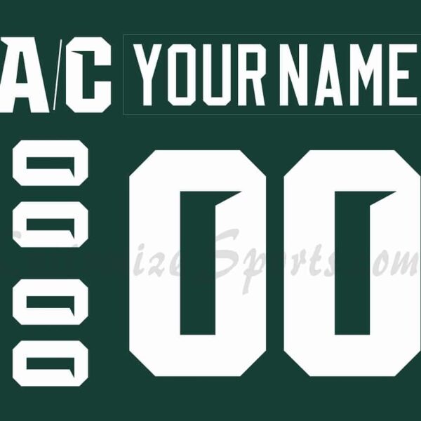 NCAA Michigan State Spartans Customized Number Kit for 2017-2019 Green Hockey Jersey