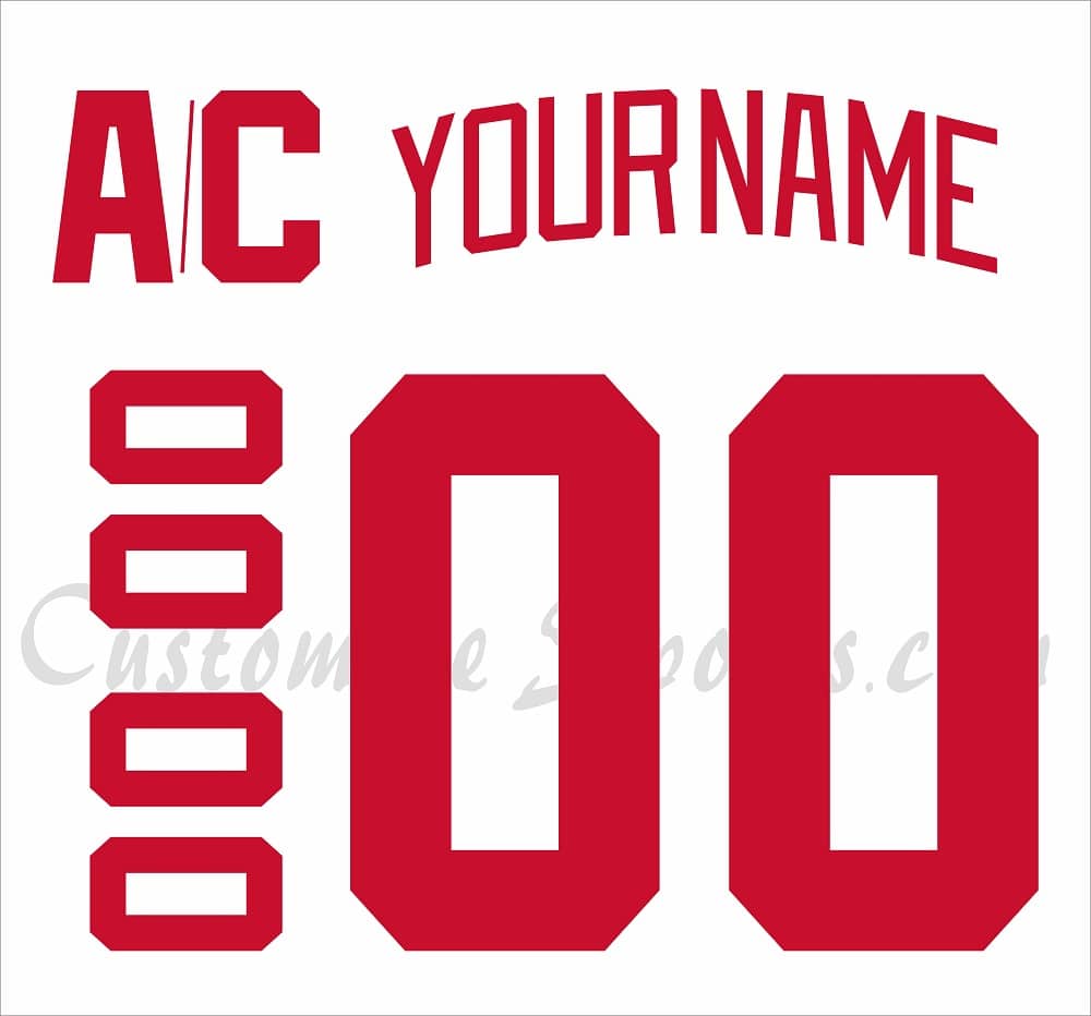 Detroit Red Wings Customized Number Kit For 2021 Reverse Retro Jersey