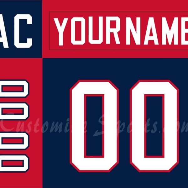 IIHF Team USA Customized Number Kit for 2002 Away Olympic Hockey Jersey
