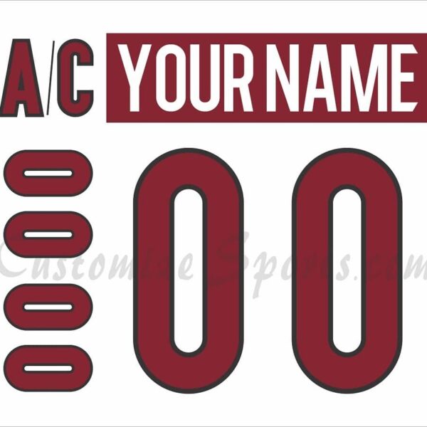 Tucson Roadrunners Customized Number Kit for 2022-Present Home Jersey