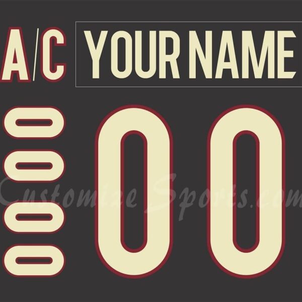 Tucson Roadrunners Customized Number Kit for 2016-2018 3rd Jersey