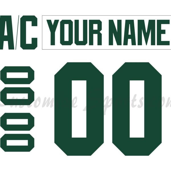 Iowa Wild Customized Number Kit for 2016-2021 Home Jersey