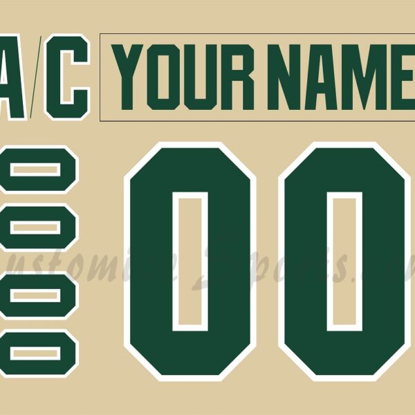 Iowa Wild Customized Number Kit for 2019-Present 3rd Jersey