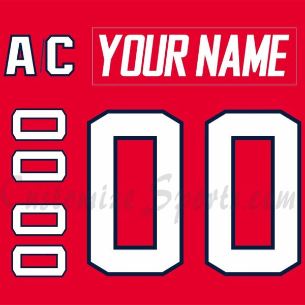 Hartford Wolfpack Customized Number Kit For 2016-Present 3rd Jersey