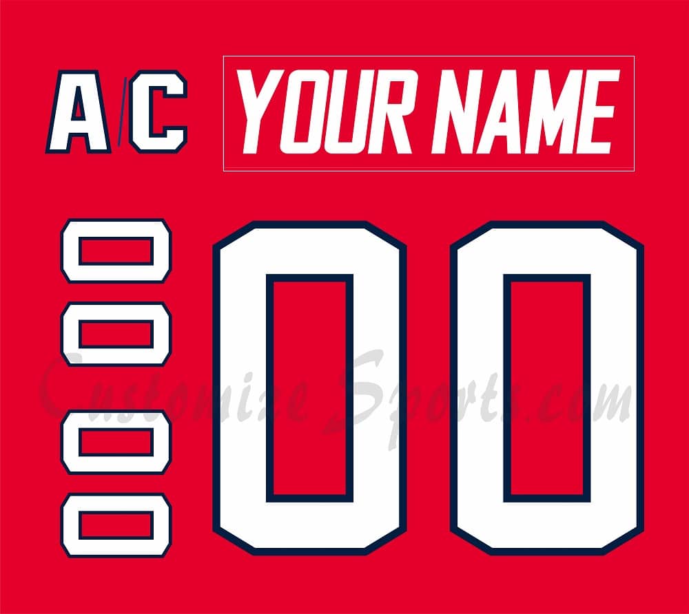 Hartford Wolfpack Customized Number Kit For 2016-Present 3rd Jersey
