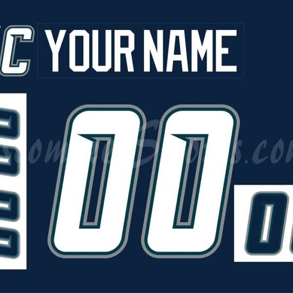 Pensacola Ice Pilots Customized Number Kit for 2002-2003 Navy Jersey