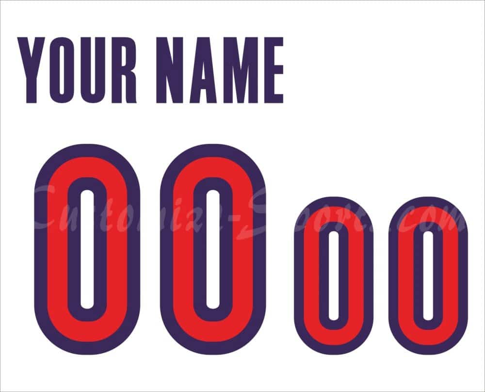 Toronto Raptors Customized Number Kit for 1999-2006 White Jersey