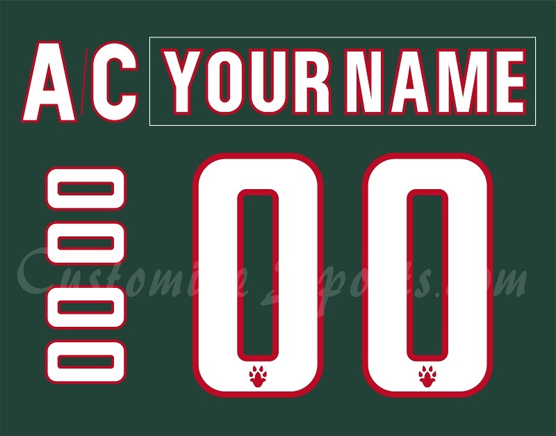 AK Bars Kazan Russian Customized Number Kit for 2018-Present Green Jersey