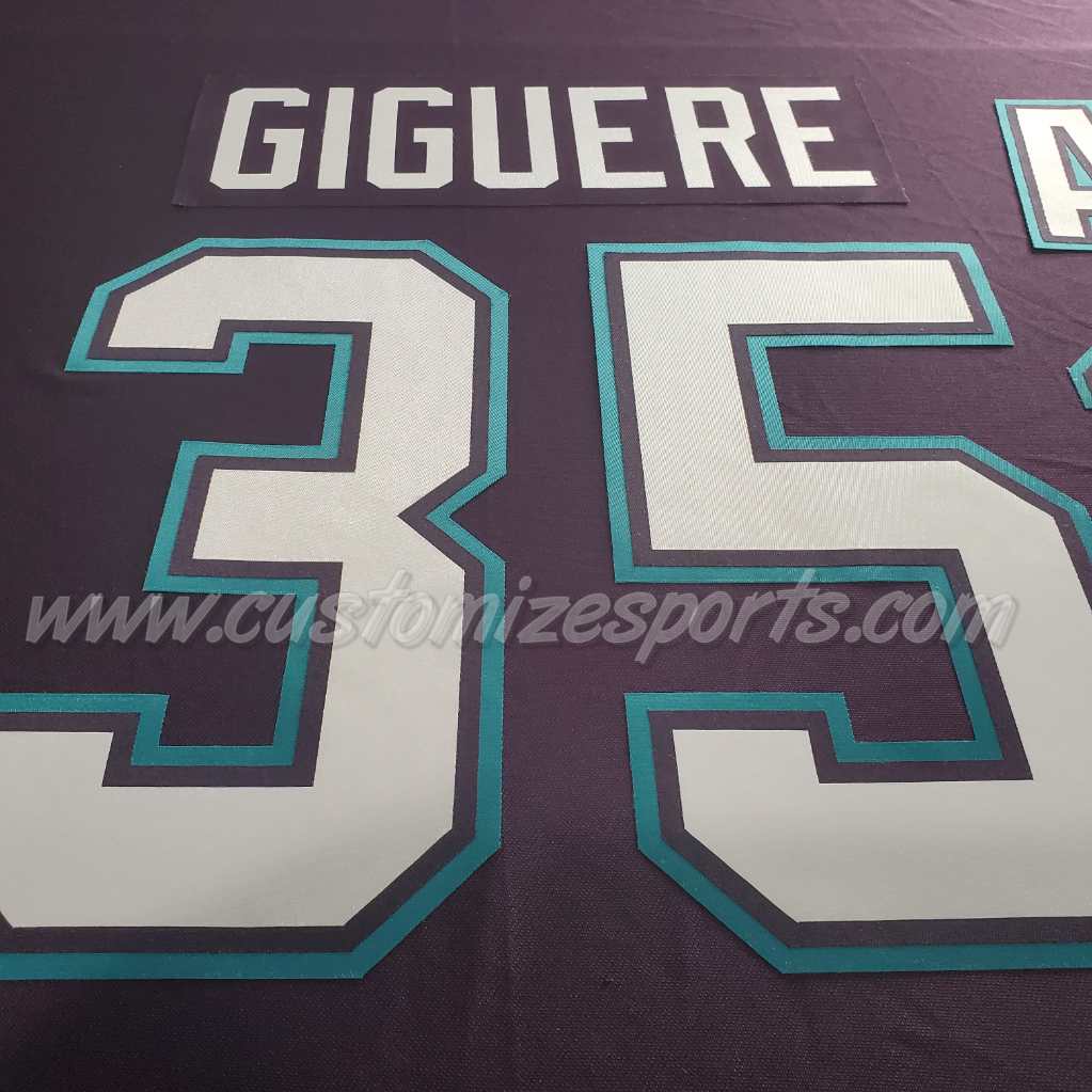 Mighty Ducks of Anaheim Customized Number Kit for 2003-2006 Home Jersey - Image 3