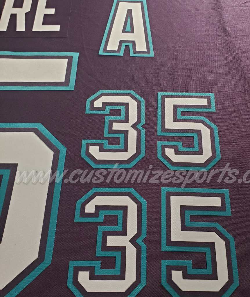 Mighty Ducks of Anaheim Customized Number Kit for 2003-2006 Home Jersey - Image 12