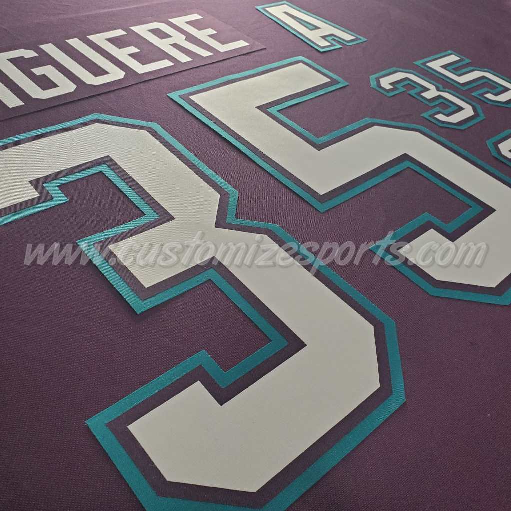 Mighty Ducks of Anaheim Customized Number Kit for 2003-2006 Home Jersey - Image 5