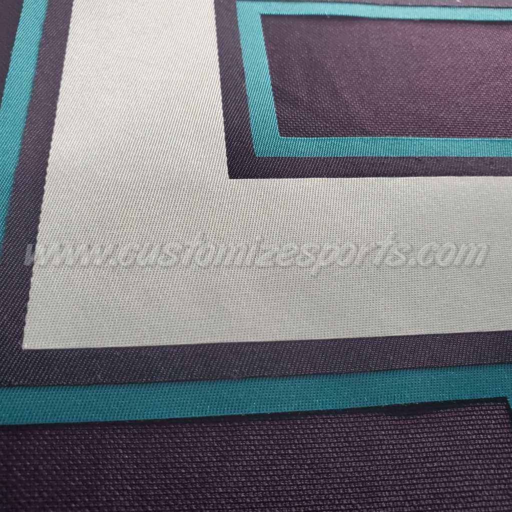 Mighty Ducks of Anaheim Customized Number Kit for 2003-2006 Home Jersey - Image 7