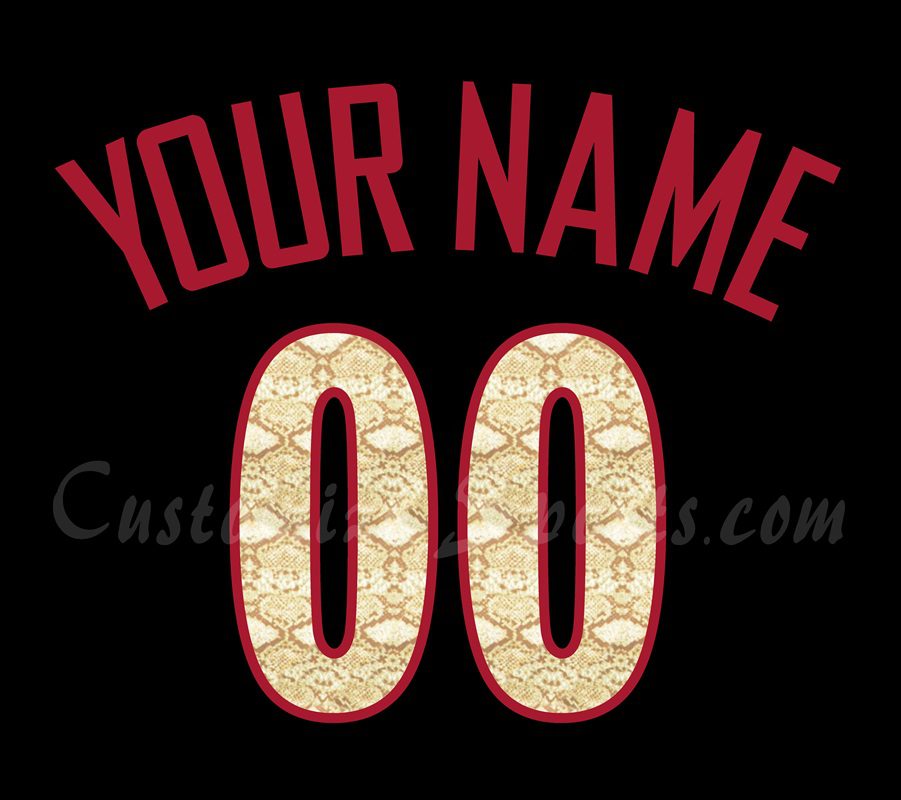 Baseball All Star Customized Number Kit for 2011 National League Jersey