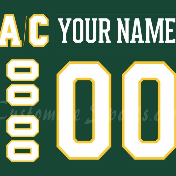 NCAA University of Vermont Customized Number Kit for2020-2021 Hockey Jersey