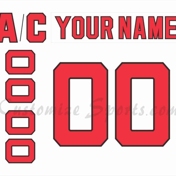 Detroit Vipers Customized Number Kit for 1996-1997 Home Jersey