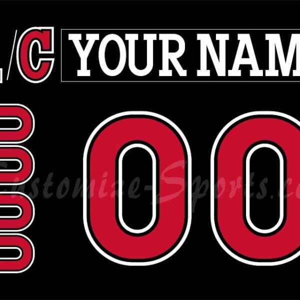 Cincinnati Cyclones Customized Number Kit For 2014-2017 Away Jersey