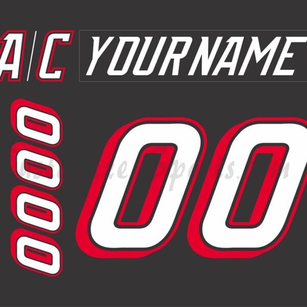 Wilkes Barre Scranton Penguins Customized Number Kit For 1999-2001 Black Jersey