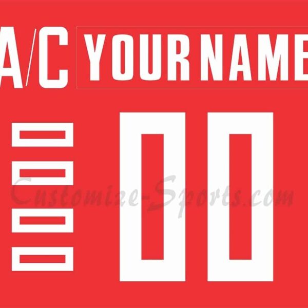 IIHF Team Czech Republic Customized Number Kit For 2006 Red Hockey Jersey