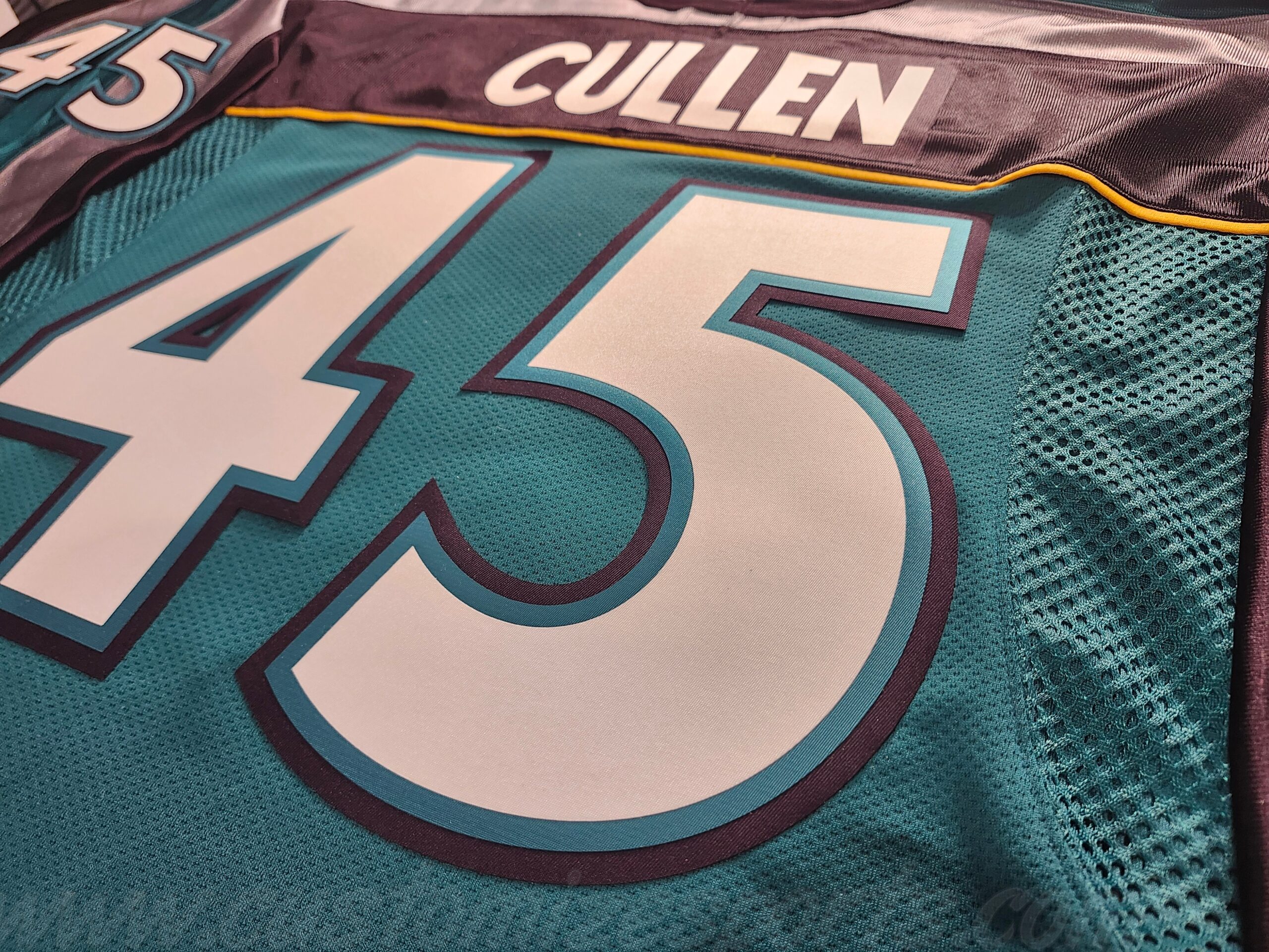 Mighty Ducks of Anaheim Customized Number Kit For 1998-1999 3rd Teal Jersey - Image 5