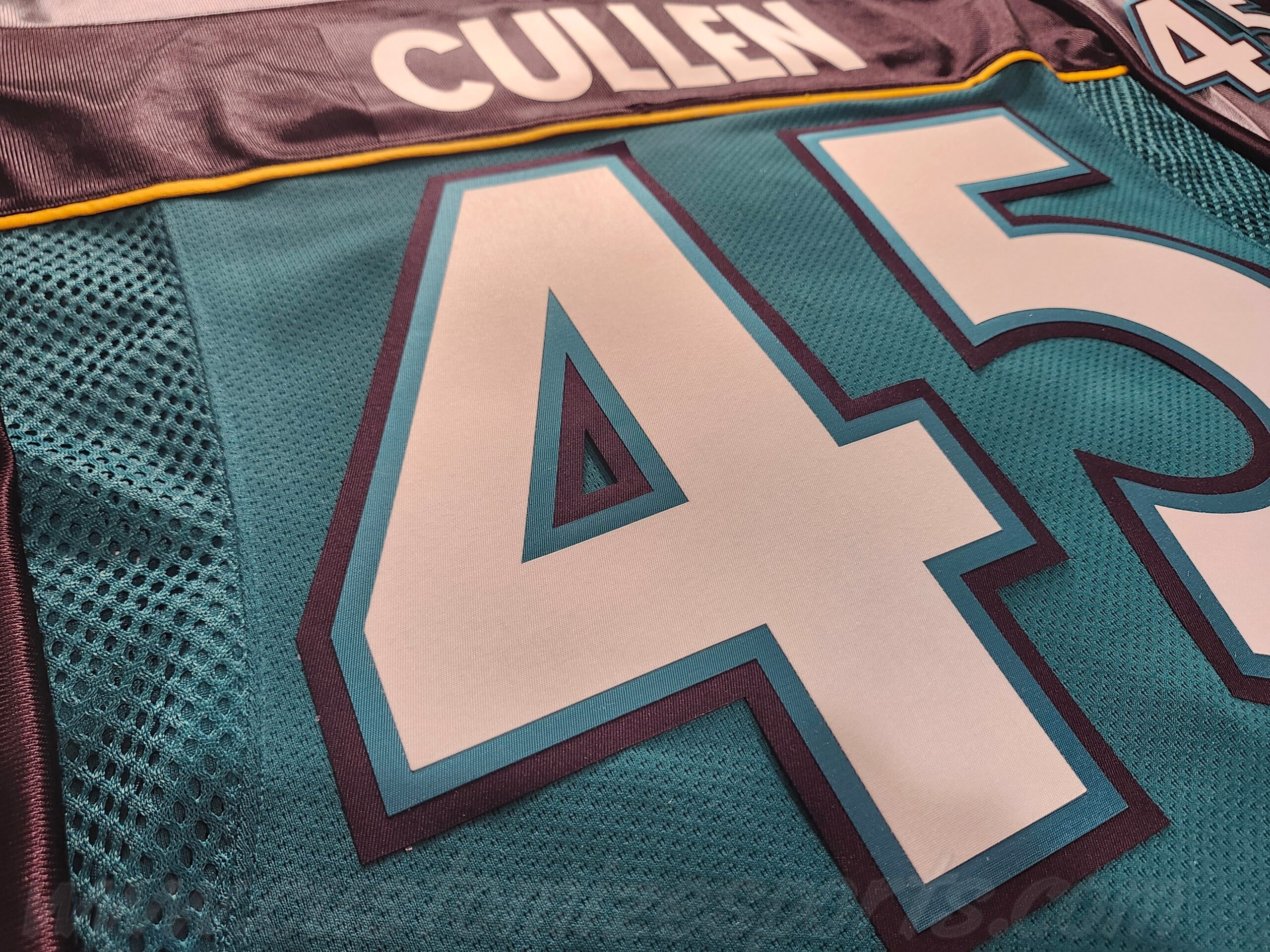 Mighty Ducks of Anaheim Customized Number Kit For 1998-1999 3rd Teal Jersey - Image 6