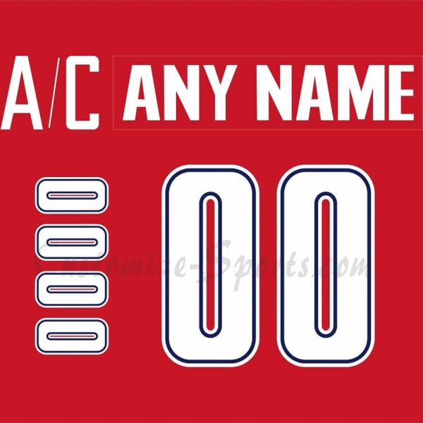 IIHF Team Czech Republic Customized Number Kit For 2005 Red Hockey Jersey