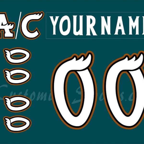 Manitoba Moose Customized Number Kit For 2001-2006 Away Jersey