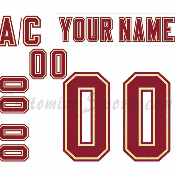 NCAA Denver Pioneers Customized Number Kit For 2000-2004 Home Hockey Jersey