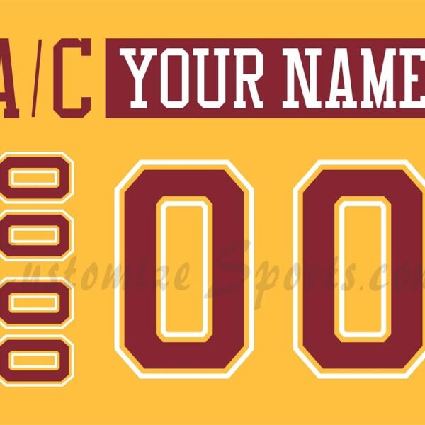 NCAA Minnesota Golden Gophers Customized Number Kit For 2002 3rd Hockey Jersey