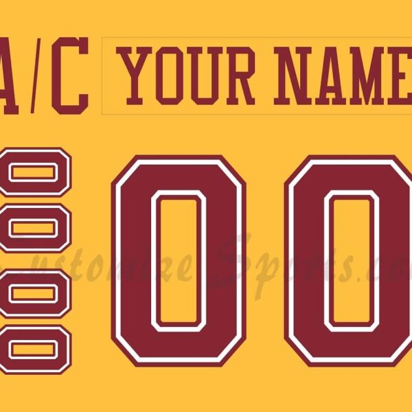 NCAA Minnesota Golden Gophers Customized Number Kit For 2003-2008 3rd Hockey Jersey