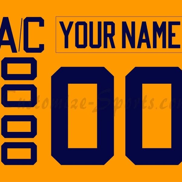 AHL All Star Customized Number Kit For 2019 Pacific Division Jersey