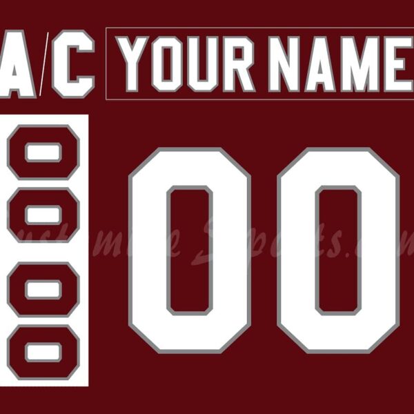 Hershey Bears Customized Number Kit for 1992-1998 Away Jersey