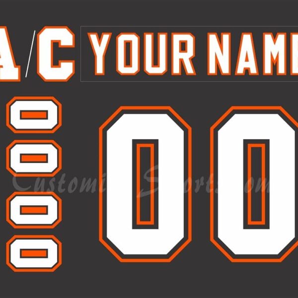 Philadelphia Phantoms Customized Number Kit for 2005 10th Anniversary Jersey