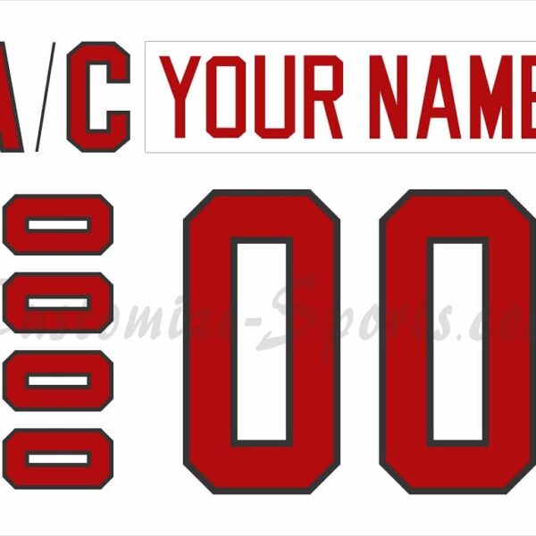 WCH Team Canada Customized Number Kit for 1996 White Jersey