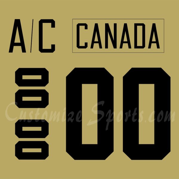 IIHF Team Canada Customized Number Kit for 2004 Winnipeg Falcons Retro Hockey Jersey